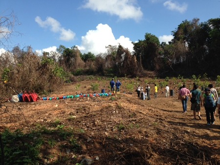 Destroyed by fire, 3 ha of Tanjong Tajam on Pulau Ubin is now being reforested gradually.