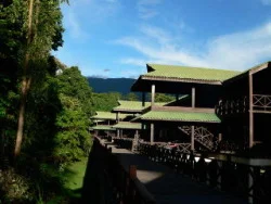 Birds, pygmy squirrels reside at Royal Mulu Resort.
