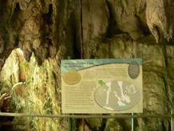 Interpretation facilities such as this board in Mulu cave should be educational, and fun.