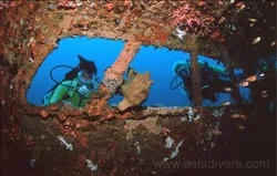 Frog fish hardly wrecked. Pic by Herald Kruger.