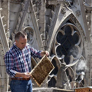 Nicolas Geant has tended bees on Notre Dame’s roof for six years. Courtesy Beeopic.