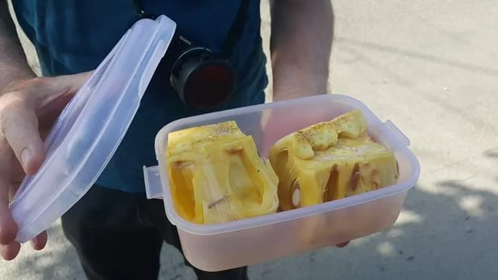 Zero waste travel: Packing fruit in your own reusable container cannot be any fresher. Courtesy: Sofie Hostyn of Bali’s Zero Waste community group on Facebook.
