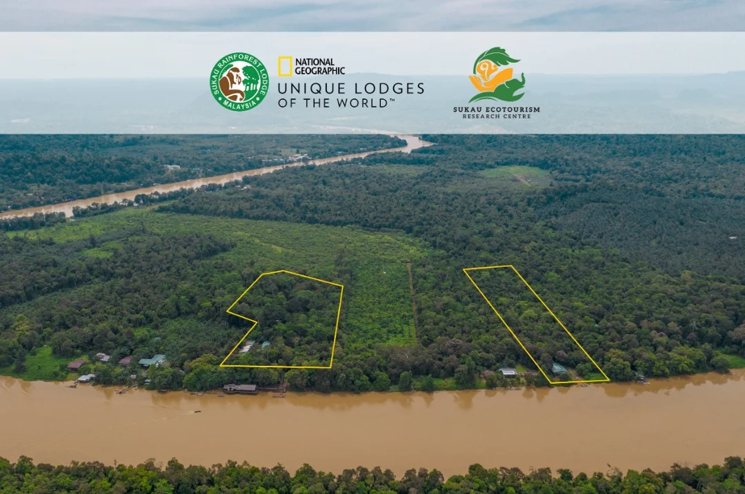 The 7.7 acres forested land that houses the Sukau Ecotourism Research Centre or SERC (right) is part of a long-term strategy on understanding ecosystems better including people-animal conflict. It is close to Albert Teo’s Sukau Rainforest Lodge (to the left).