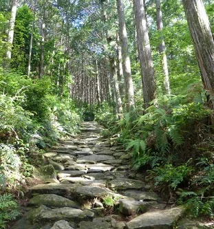 Over 1,000 years of footsteps. Courtesy Kumano JP