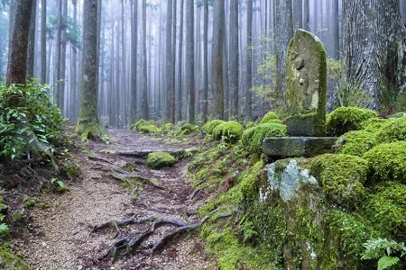 There are still dozens of shrines on the Kumano trails. Courtesy UNESCO