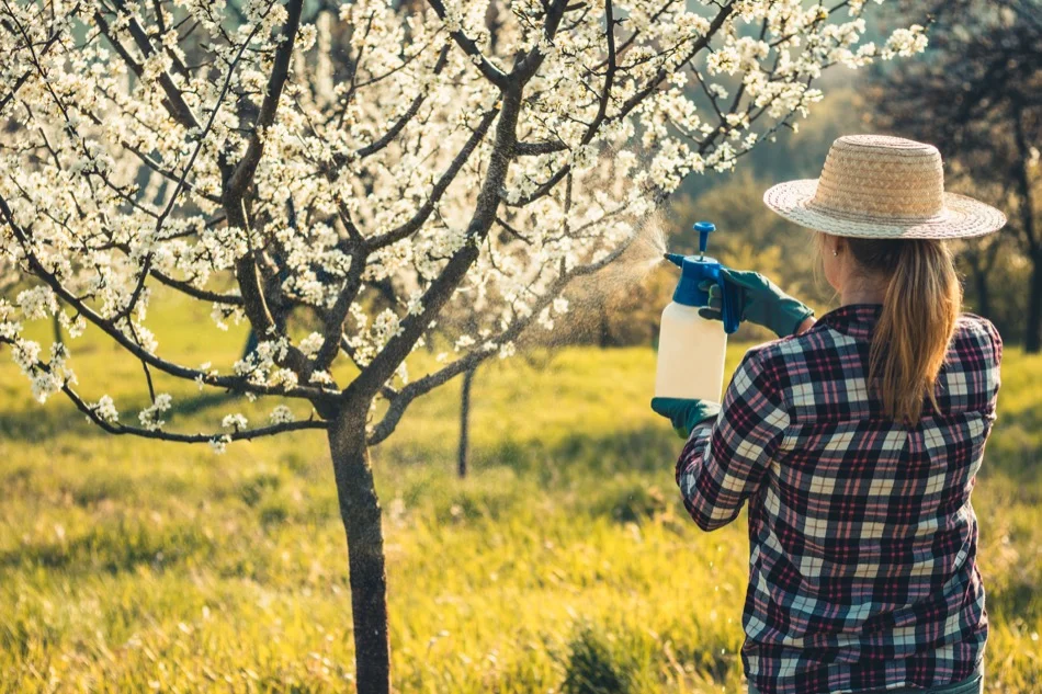 Bees and other insects that are part of a delicate ecosystem and that contribute to pollination sadly are subject to the harmful effects of pesticides. Switch to natural means such as liquids with garlic extract, vinegar, even oils such as cooking oil.