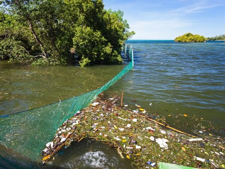 Investment Fund to Prevent Plastic Pollution in Oceans
