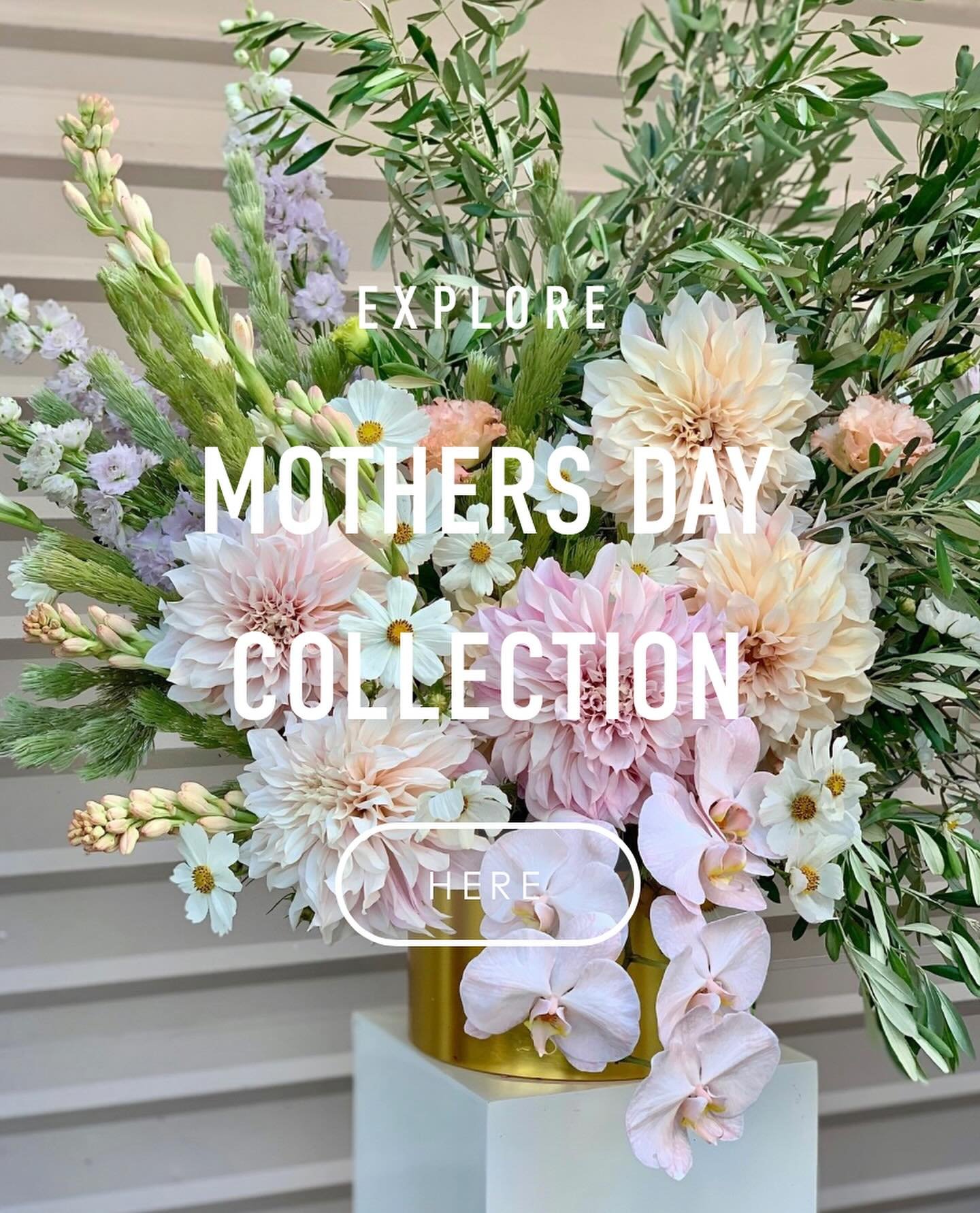 Our Mother&rsquo;s Day Collection is LIVE 🥳 (link in bio)
Say hello to next the Offspring Of The Year (yes, you!) with a gift that will truly make Mom&rsquo;s heart flutter 🥹💕🌷

From classic bouquets to unique, personalised creations, we&rsquo;ve