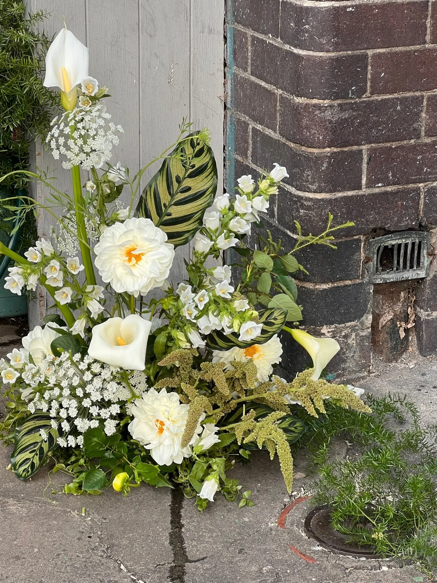 LOVE NOTES 💌 &ldquo;We honestly couldn&rsquo;t be happier with Josie, she was hands-down our favorite supplier out of all our wedding vendors!

From the very first conversation, Josie was warm, attentive, and truly understood our vision. What she cr