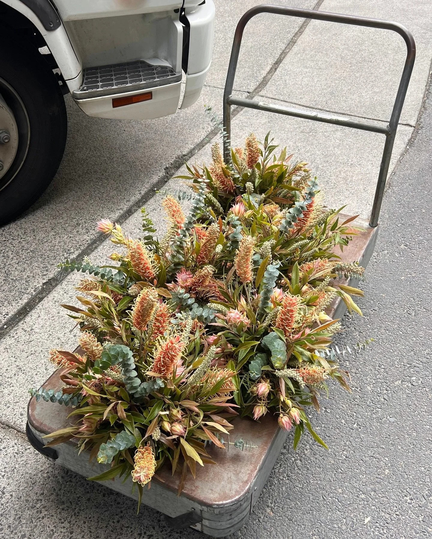 The Loading Dock Diaries: for those who love a BTS 👀 
Pretty flowers in not so pretty places, flawless Tetris packing, trolleys, trucks, elevators and service corridors. See the real journey our blooms go on moments before they land on your table 🚐