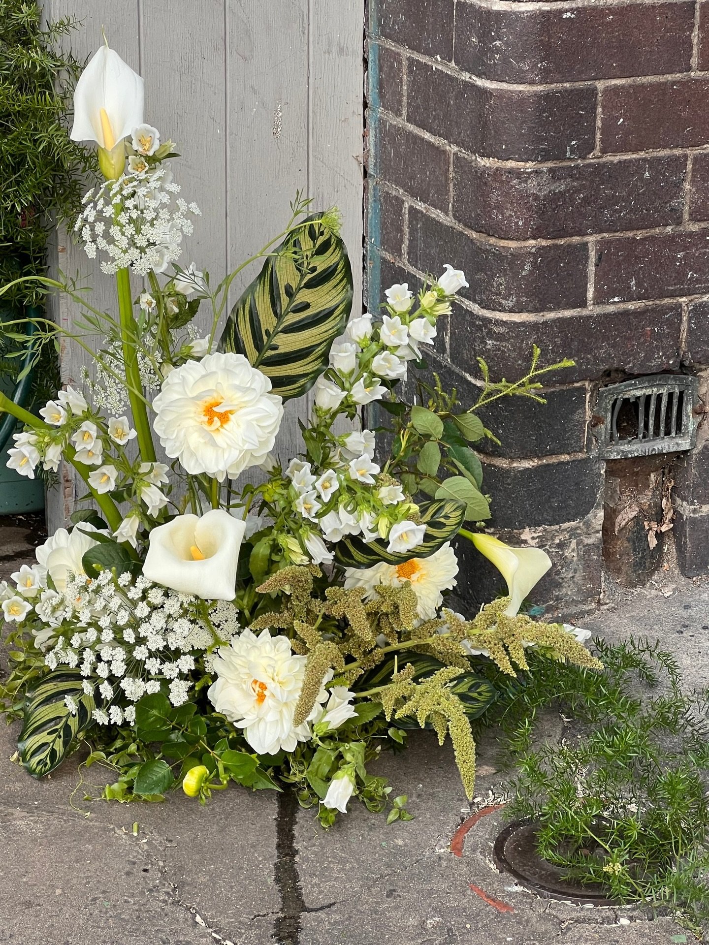 LOVE NOTES 💌 &ldquo;We honestly couldn&rsquo;t be happier with Josie, she was hands-down our favorite supplier out of all our wedding vendors!

From the very first conversation, Josie was warm, attentive, and truly understood our vision. What she cr