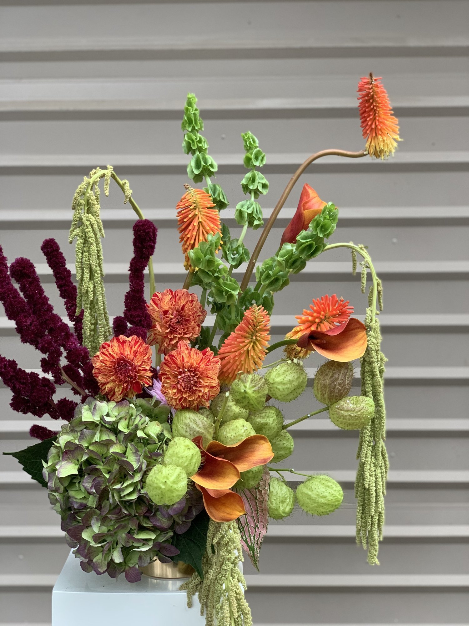 FLORISTS CHOICE