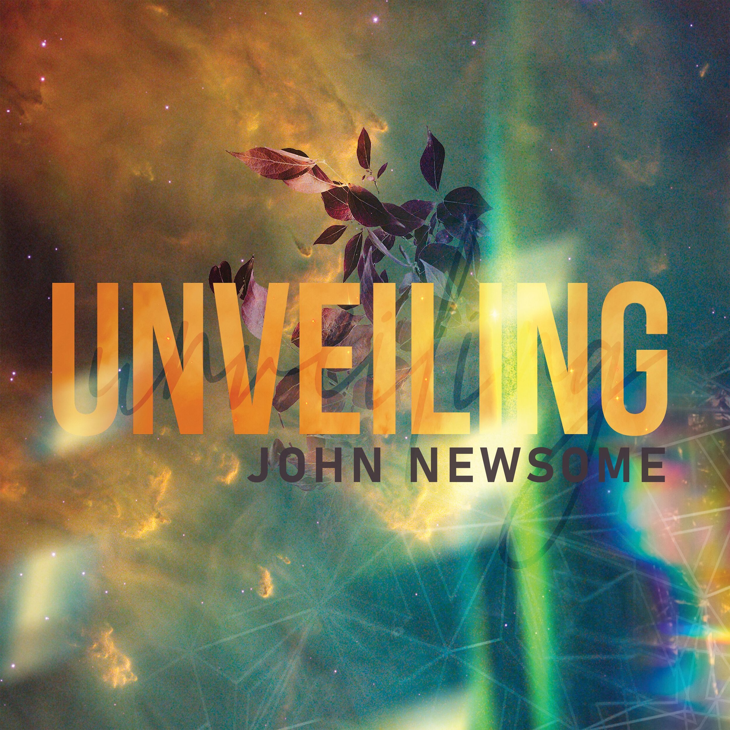Unveiling - John Newsome