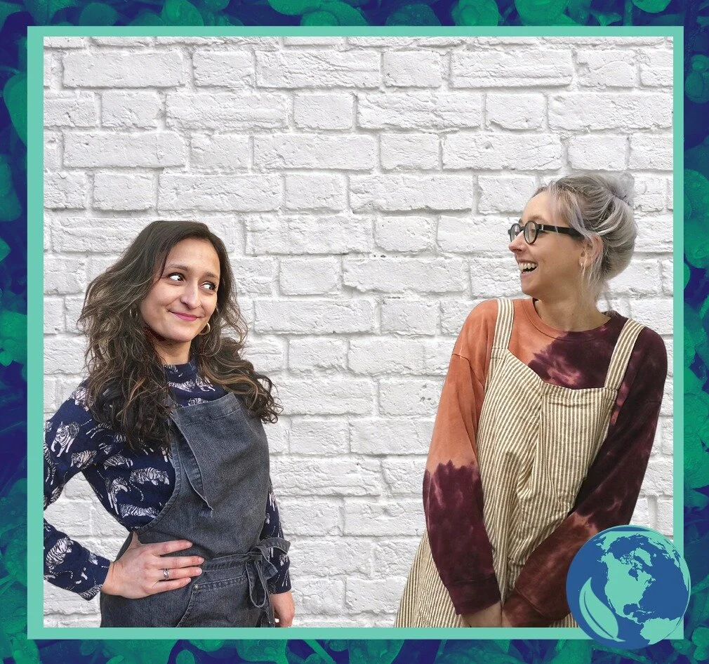 Plant Based Planet cookbook