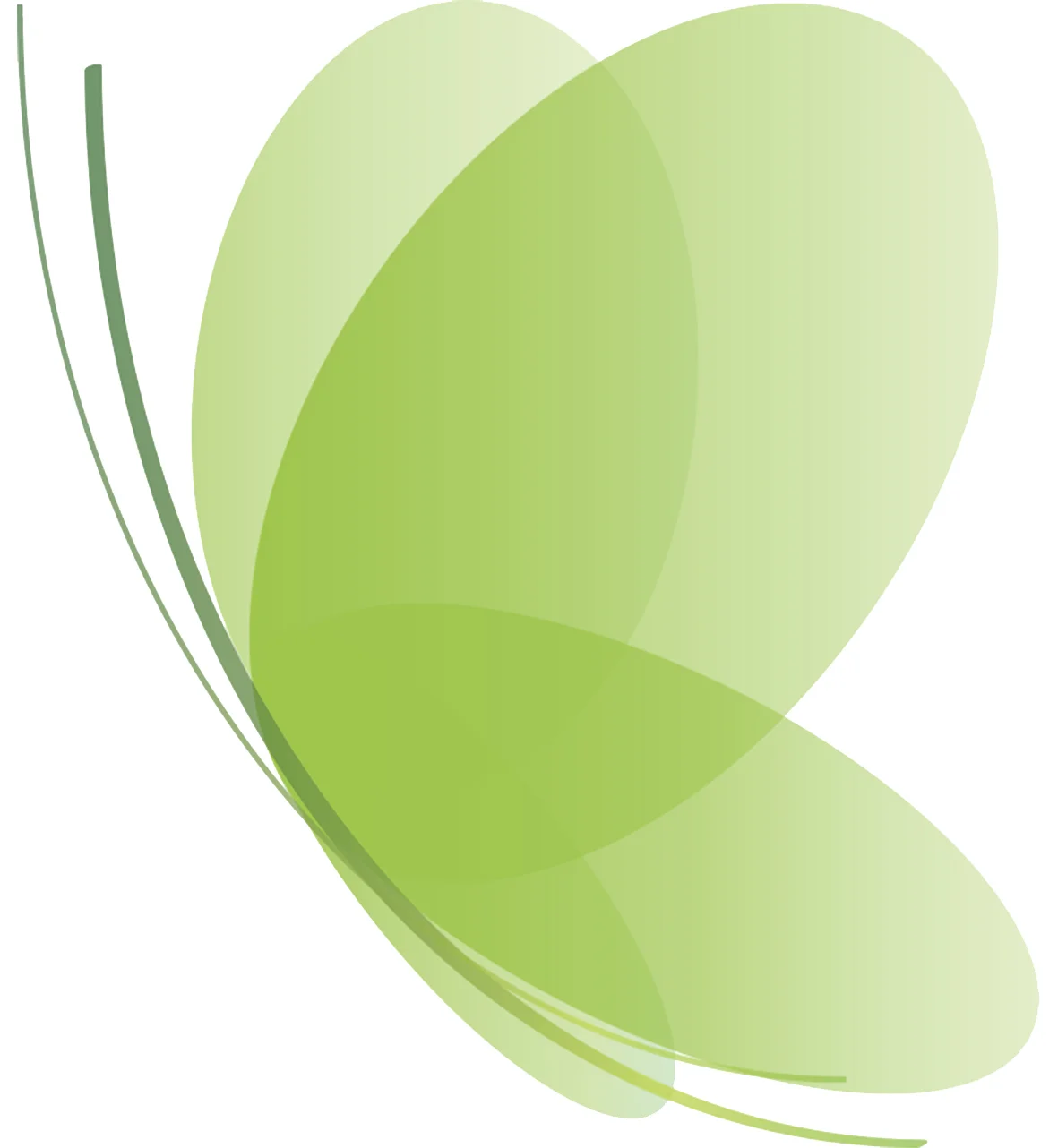 Walimo_logo copy-1 kopio.jpg