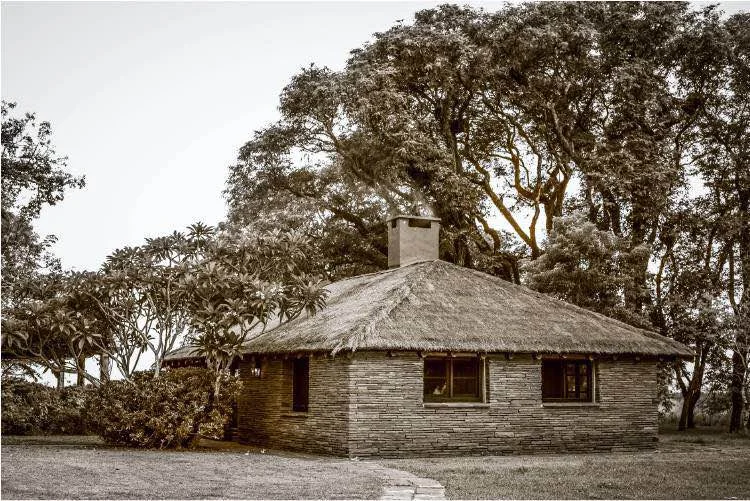 史蒂文·洛克菲勒作品