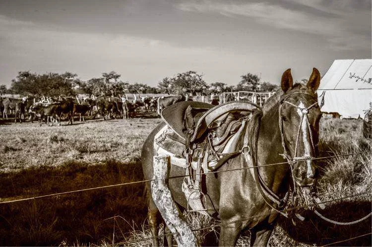 史蒂文 · 洛克菲勒作品