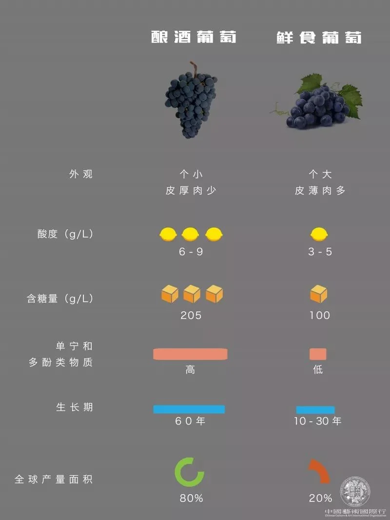 酿酒葡萄和鲜食葡萄的区别