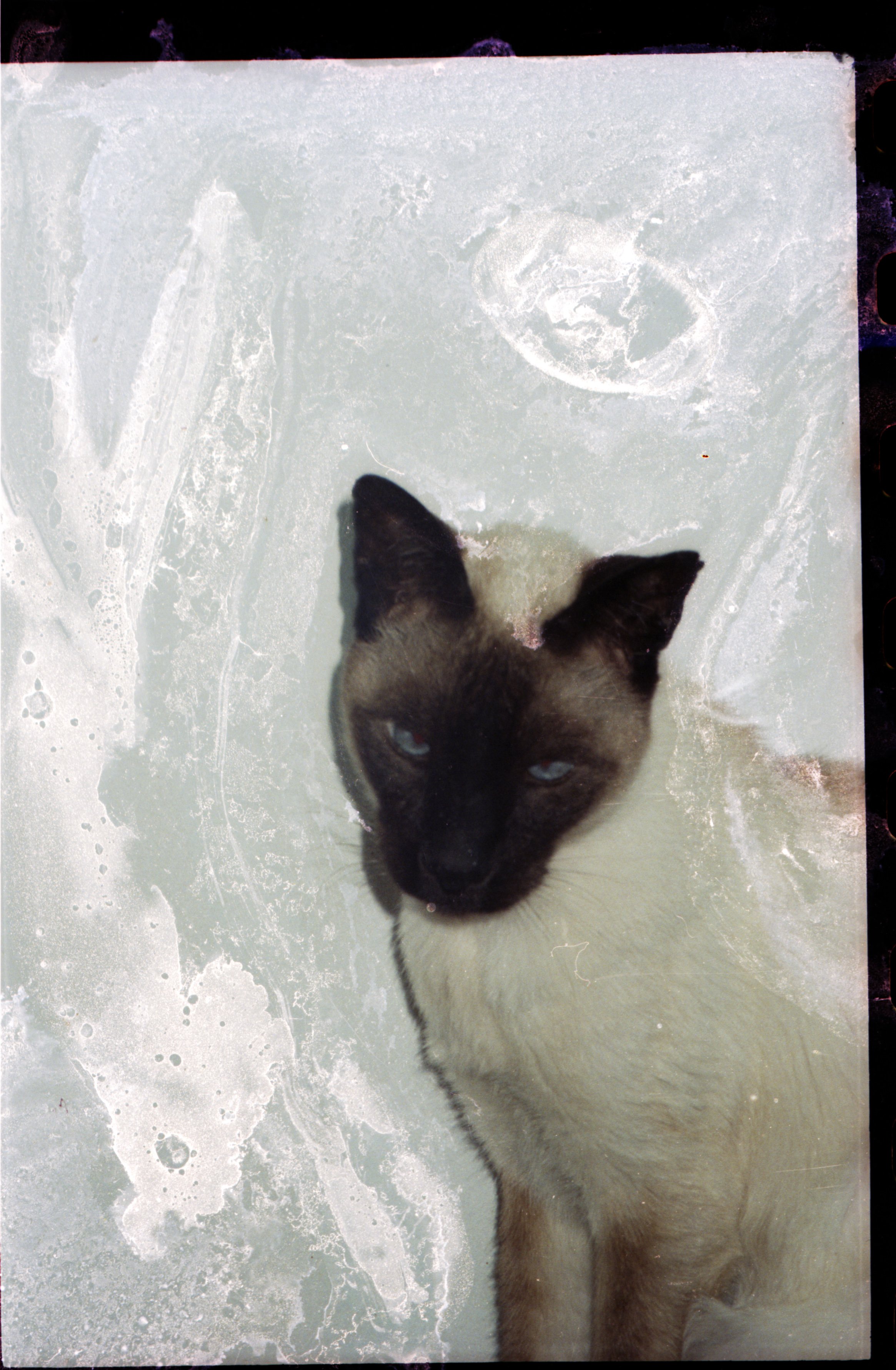 Intergenerational workshops - PHOTO | BRUT #1 - CENTRALE for contemporary art : 