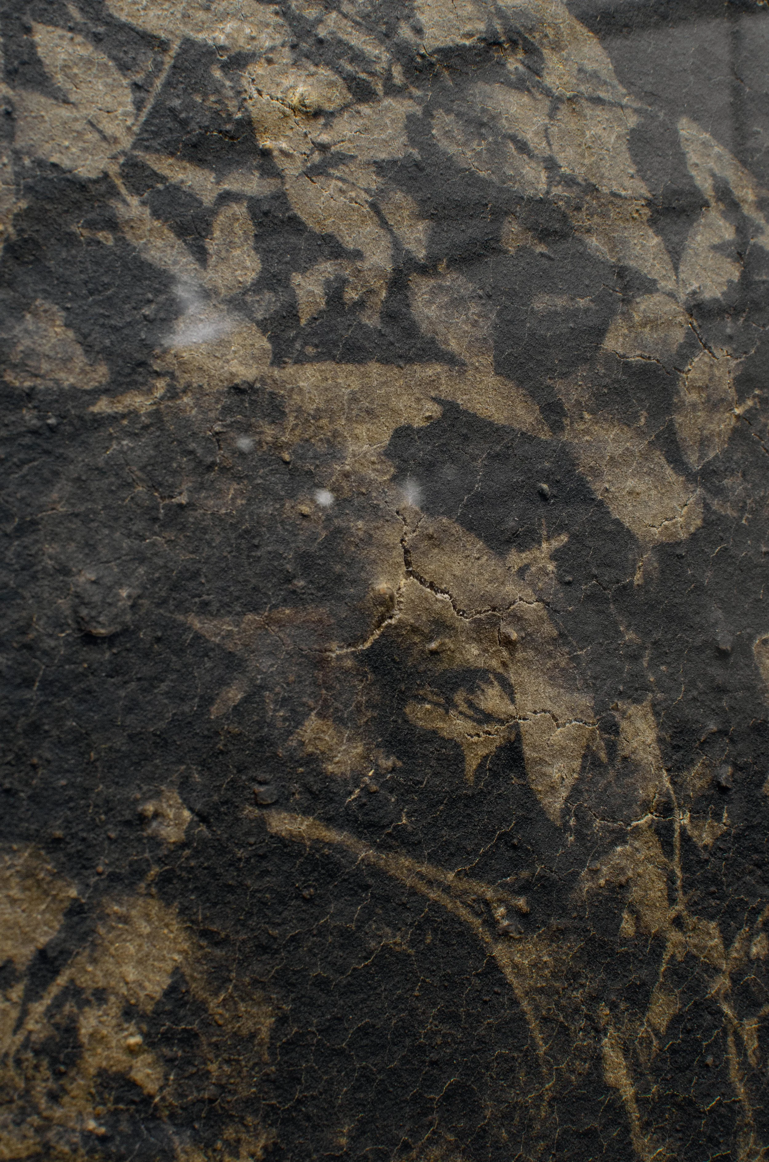 Opening / Lucas Leffler 