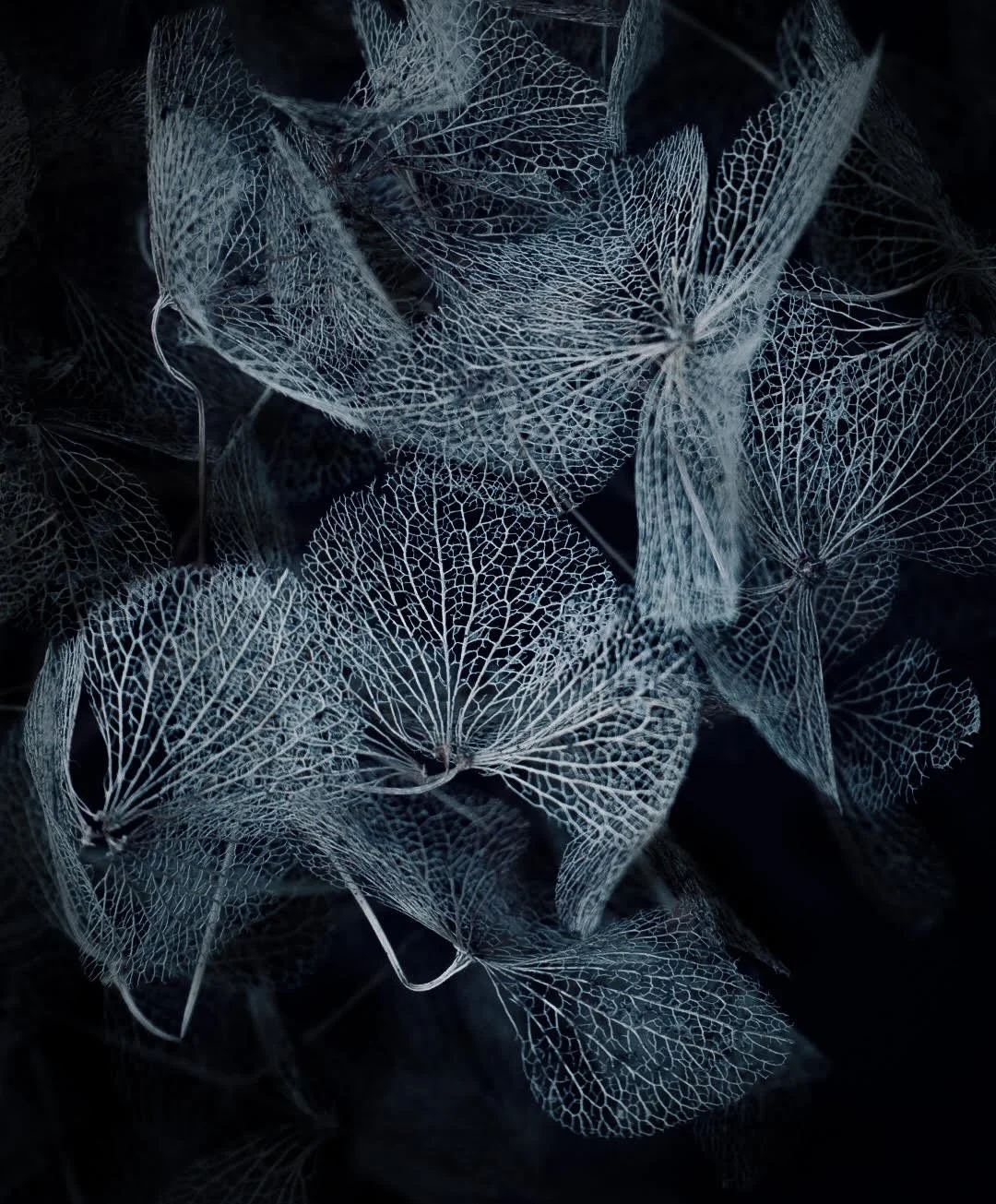 Guided tour / "The art of form" 