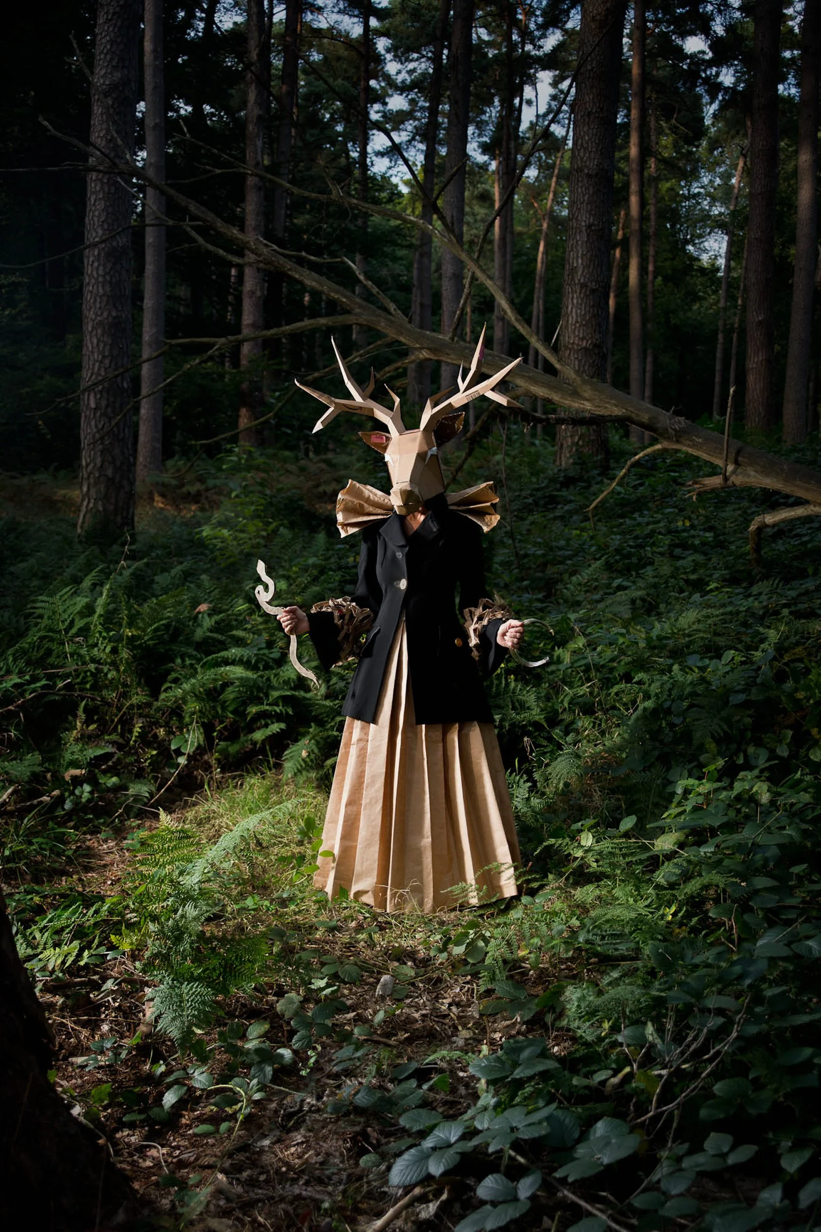 Sunday opening / Fab Rideti "Spirit of the forest"  (Copy)