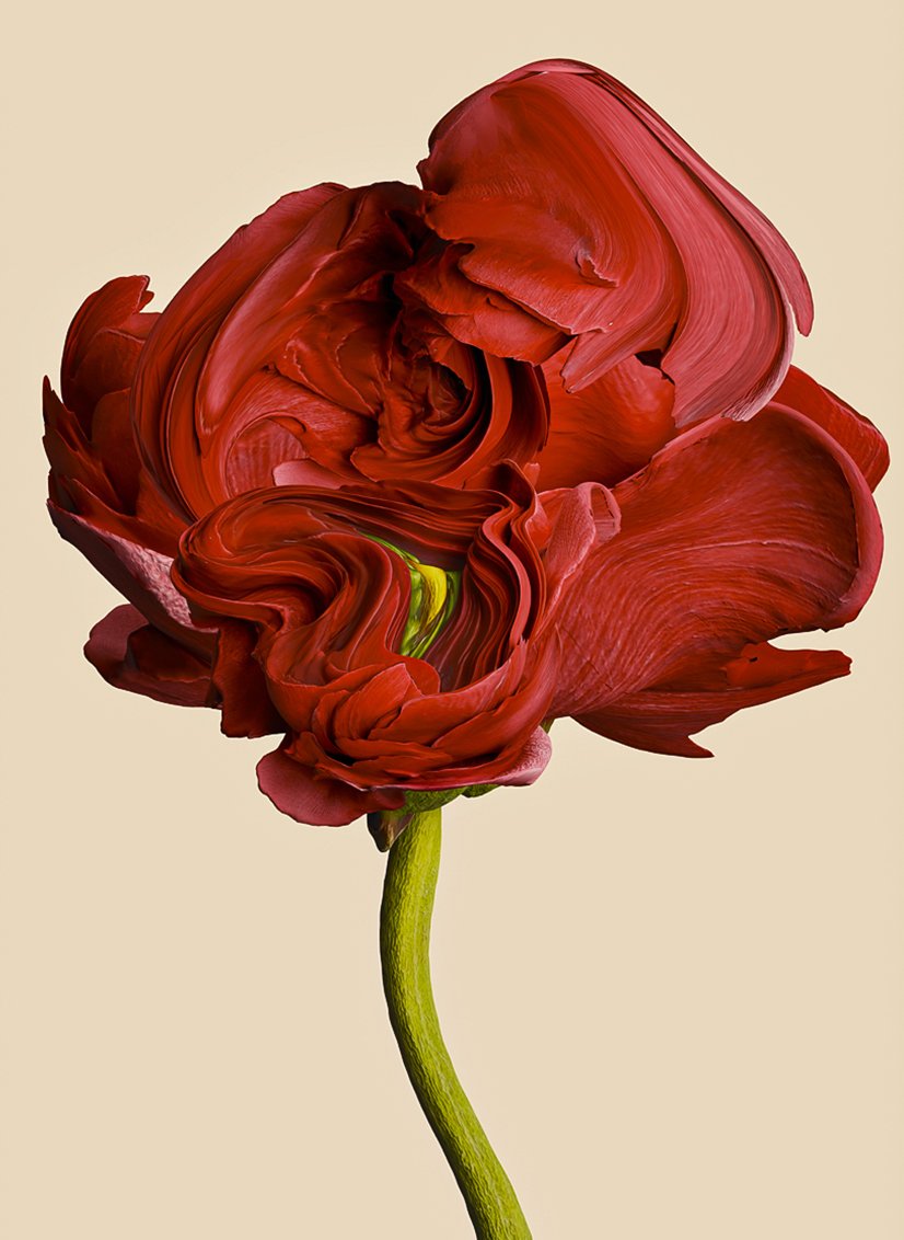 Spazio Nobile Gallery