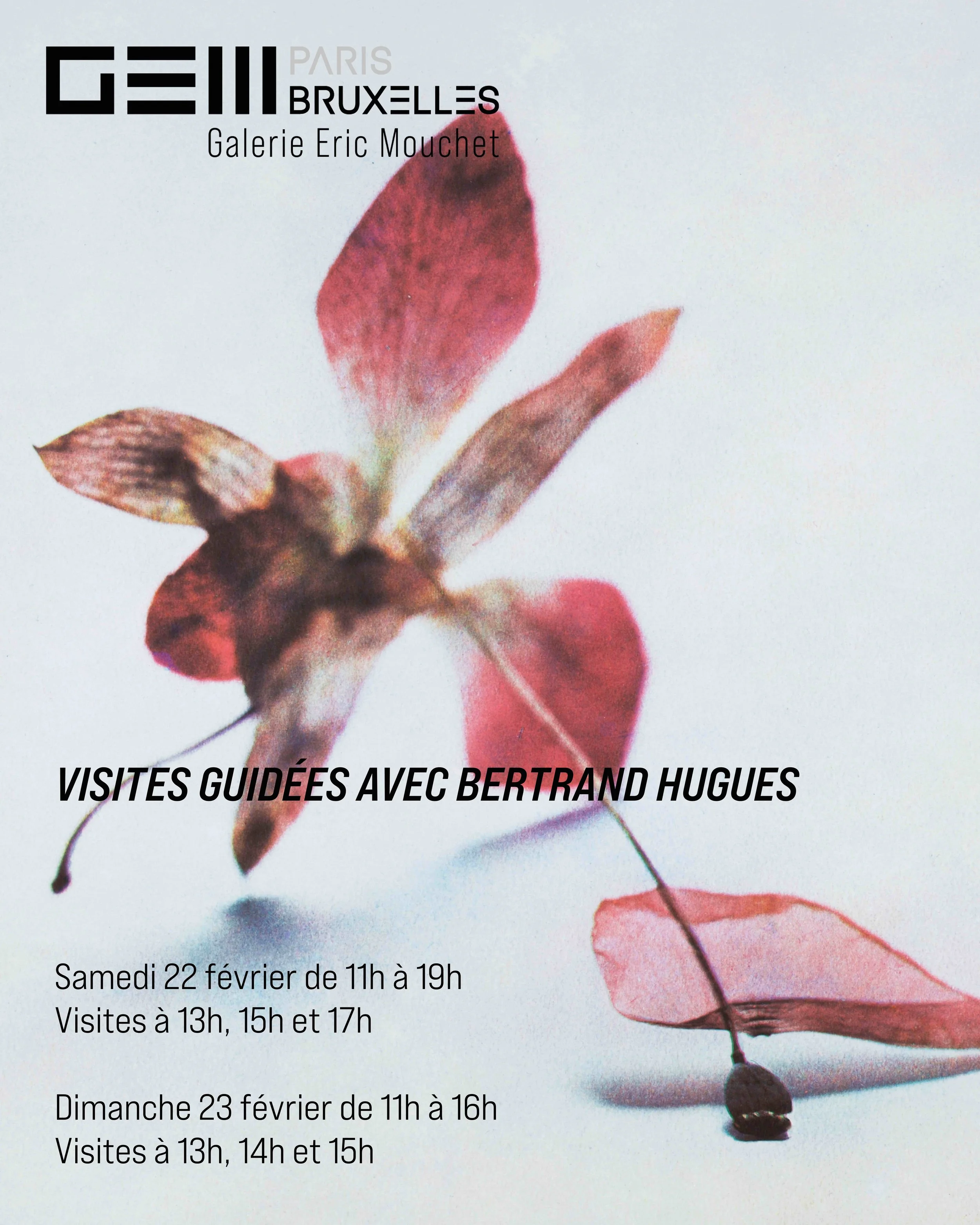 Guided tour with Bertrand Hugues at Galerie Eric Mouchet