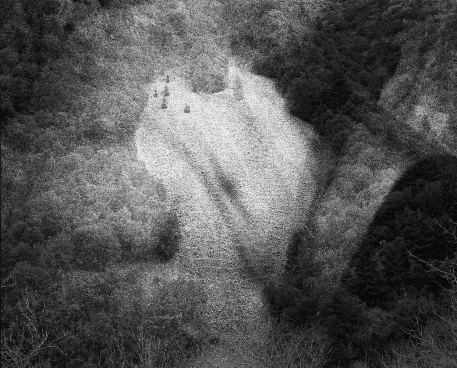 2_©alexandre.christiaens_mother’s cliff_2022.jpeg