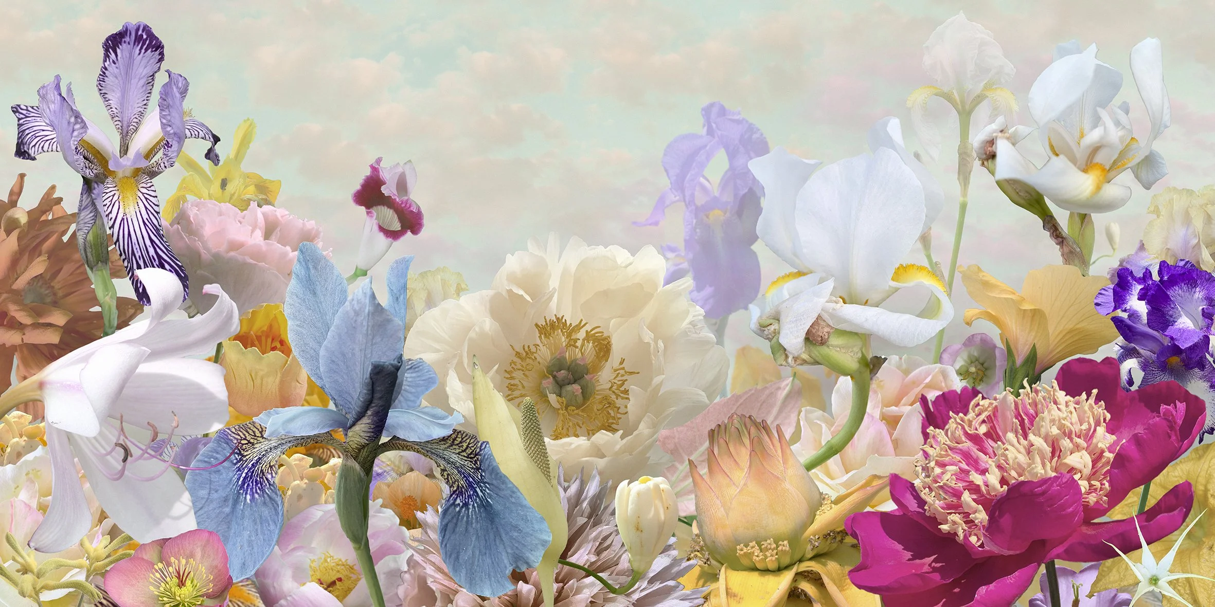 3 - Voyage Pittoresque #13 - 2025 - Ruud van Empel Archival Print - 78 x 140 cm.jpg