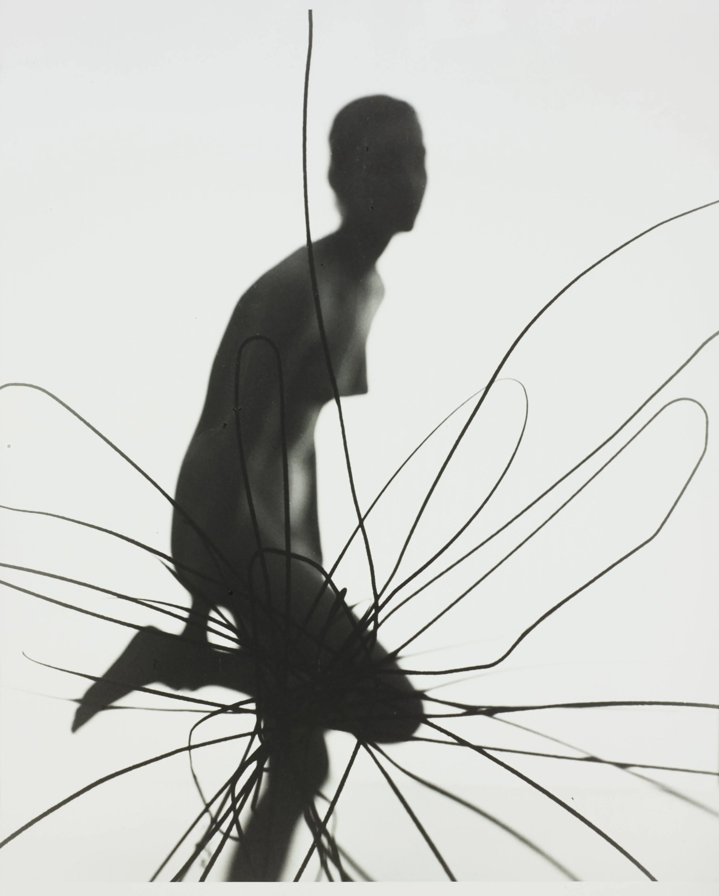 AUTAAH015776T01 copie 2.jpeg