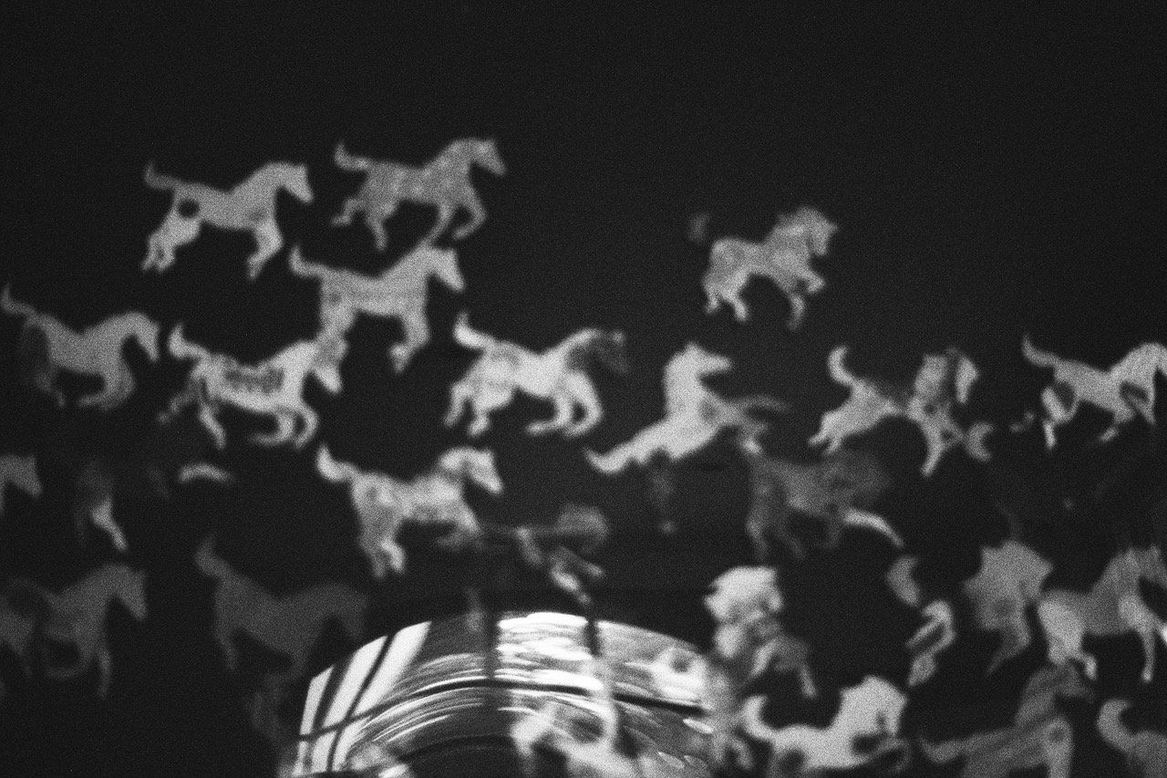 Renée Lorie 2.jpeg