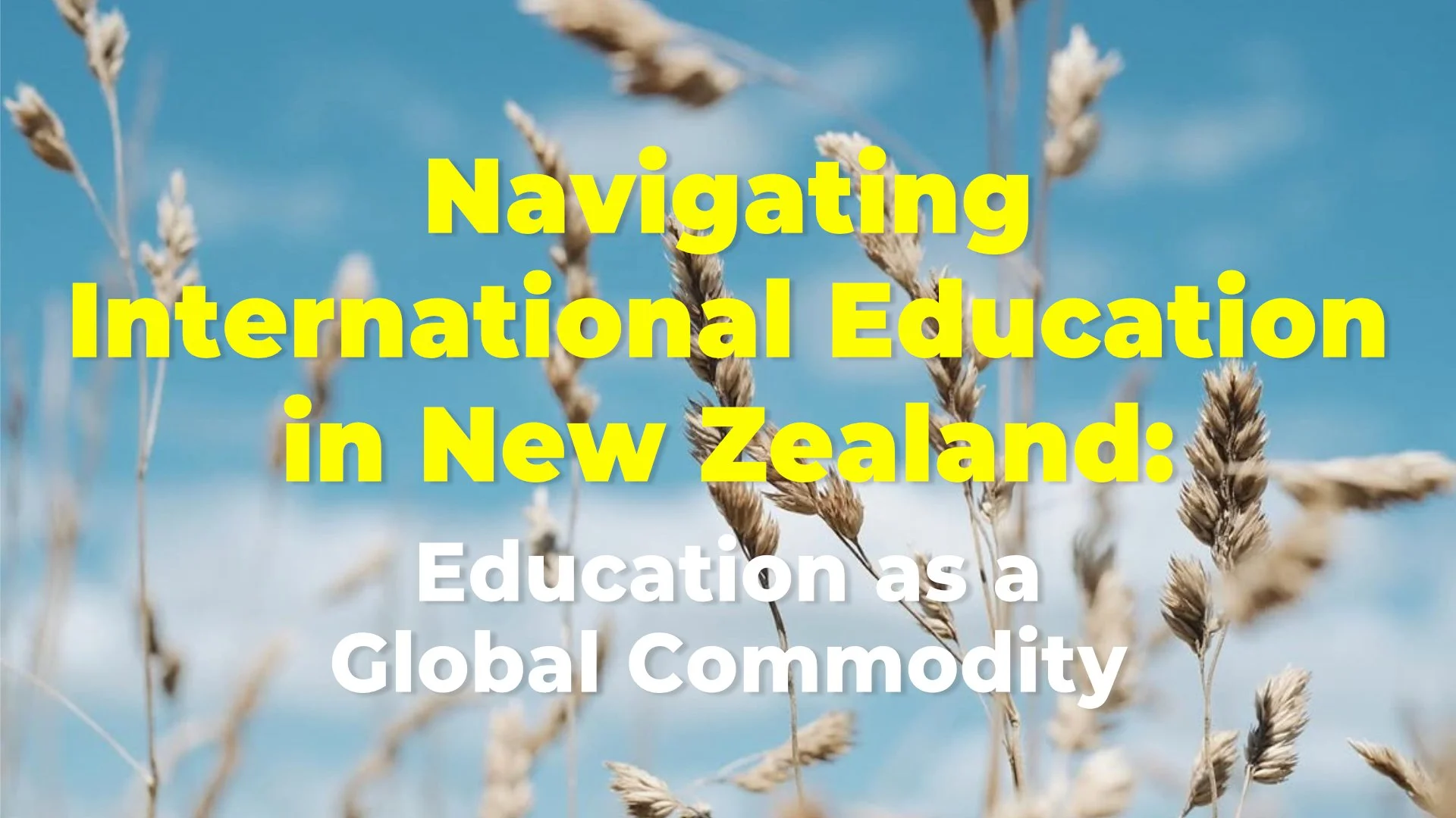 Navigating International Education in New Zealand: Education as a Global Commodity
