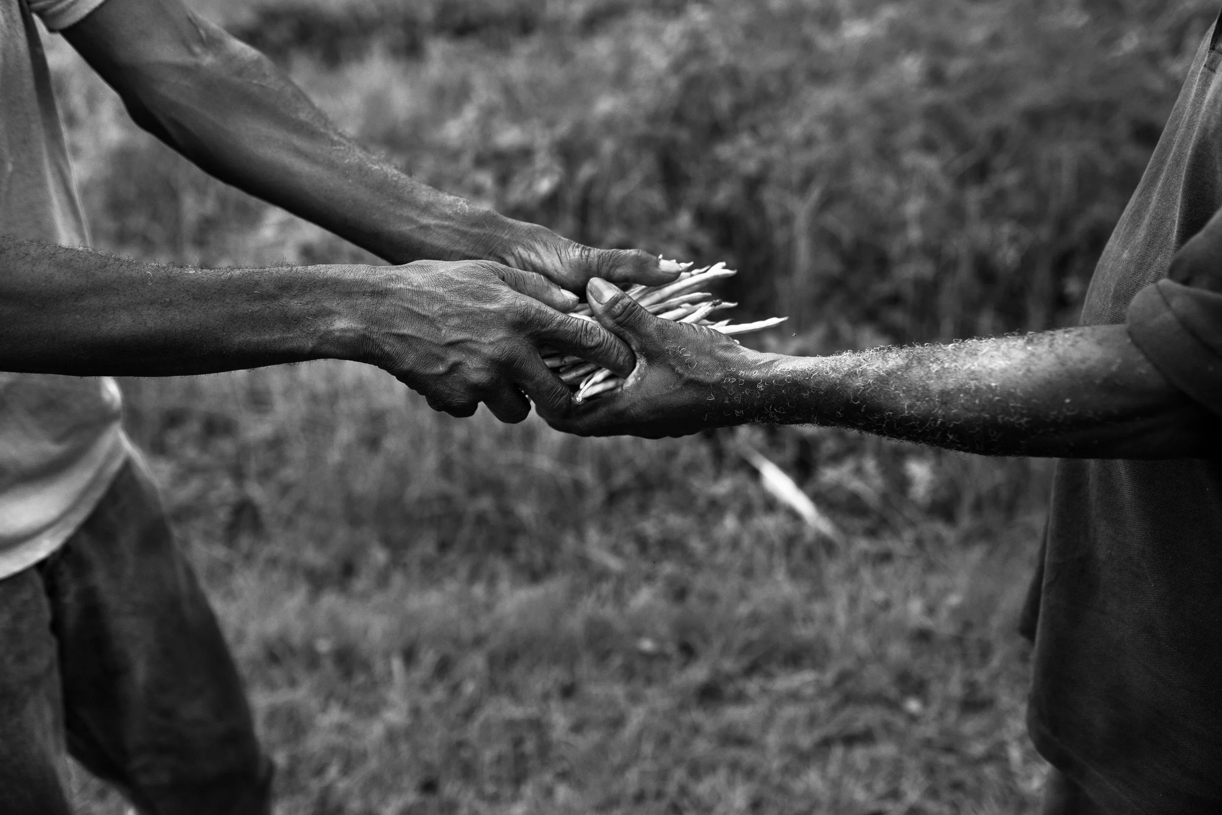 Sarge and neighbour, Richard, are seen exchanging home-grown corn.  “It’s just what we do here. I’ll go into Richard’s yard and take what I need, and he will come into my yard and take what he needs. We just help each other around here. It’s the way it is. We family,” his neighbour said.