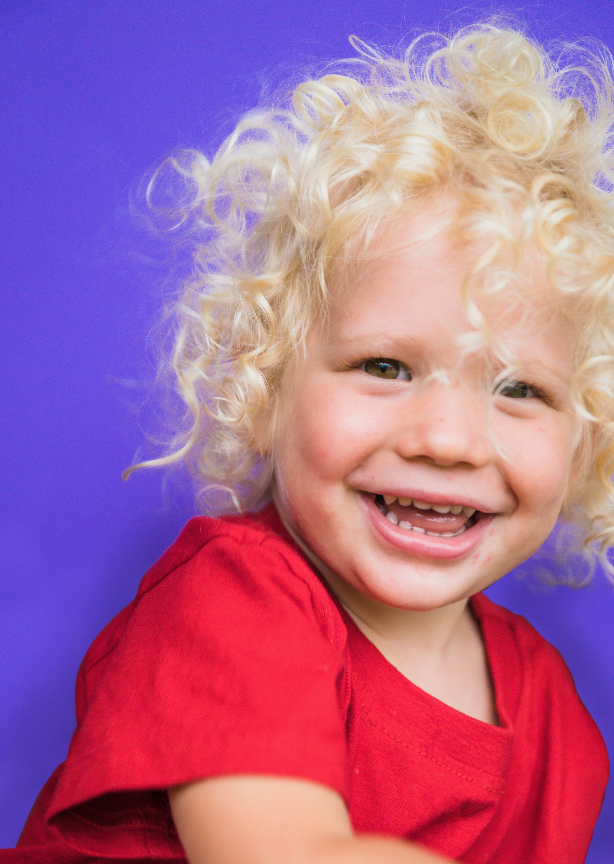 Screen Shot 2019-11-29 at 12.19.30 pm.png