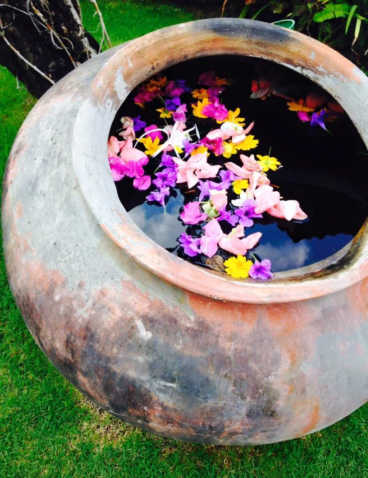 Bowl of Flowers.jpg