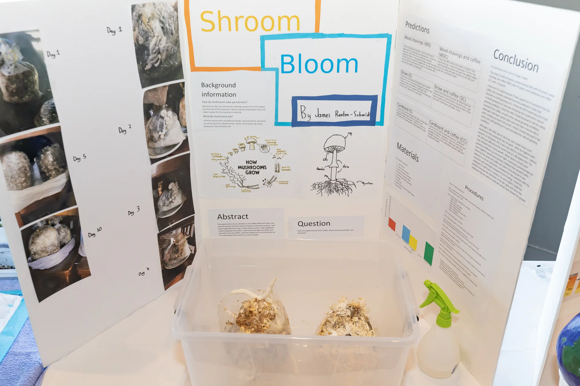 STEM_NB_WEB-4567.jpg