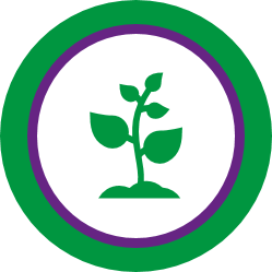 environmental.png