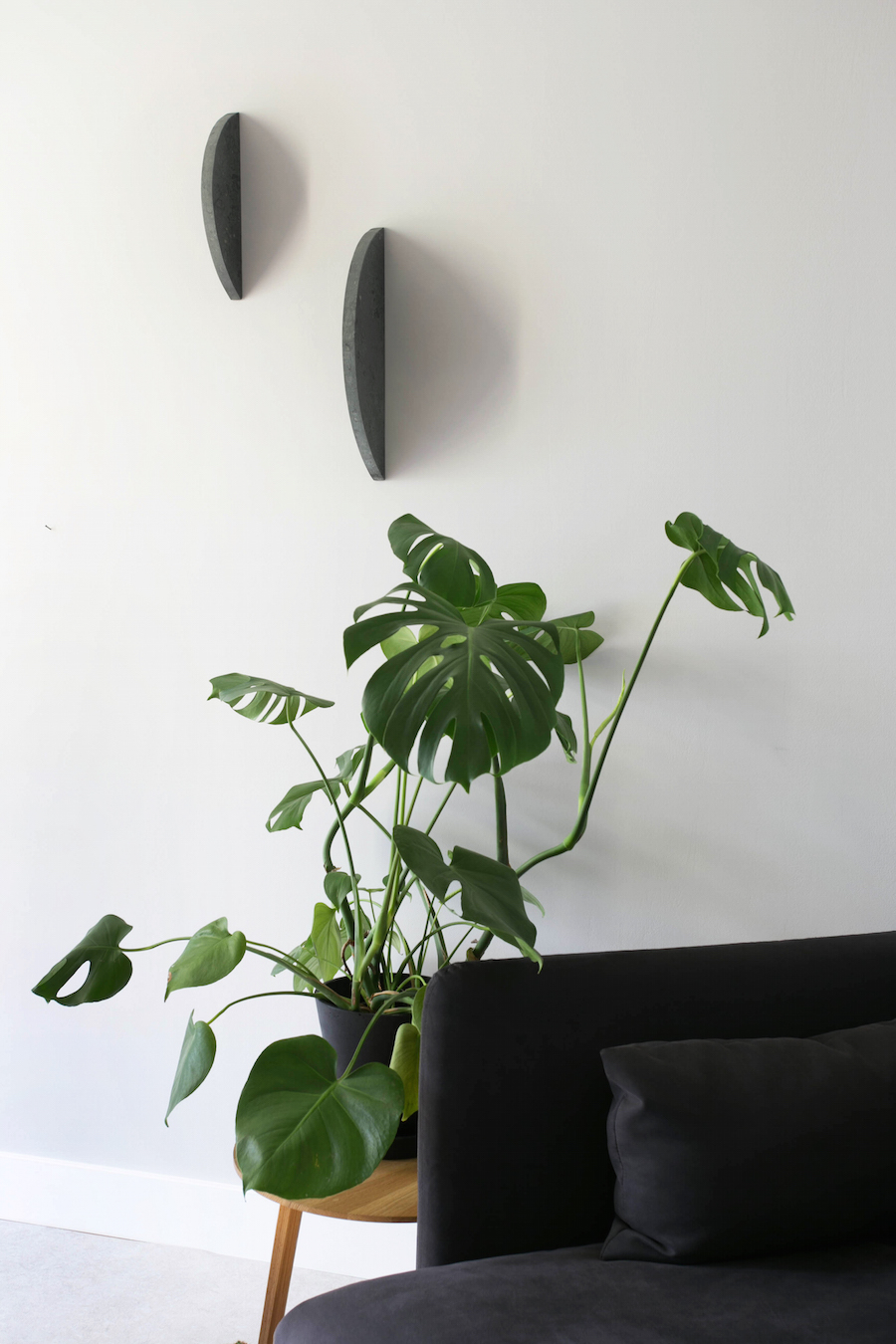 segments-by-angela-willemsen-5