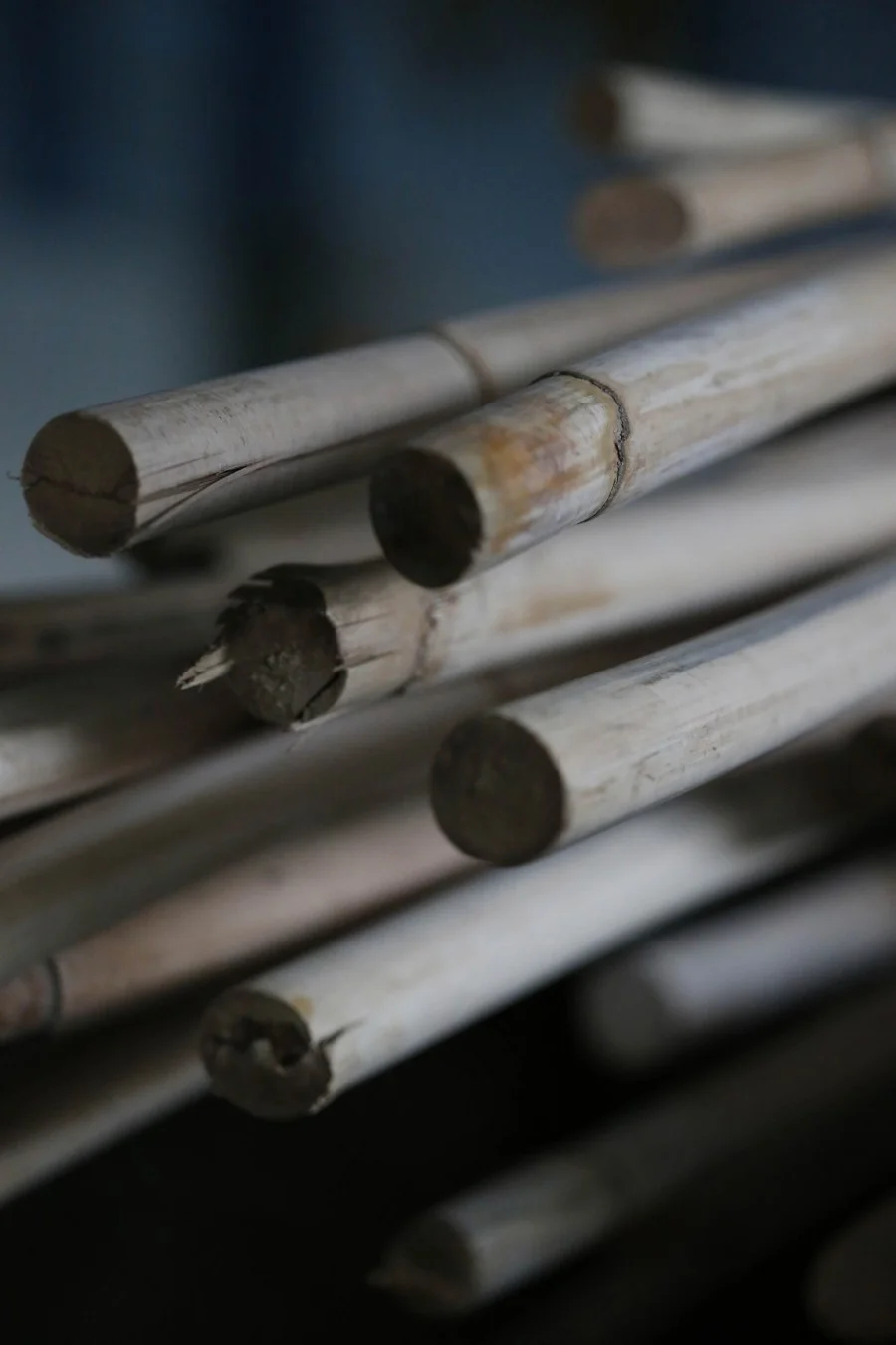 IIna_JASSA_unpolished-2500x3750