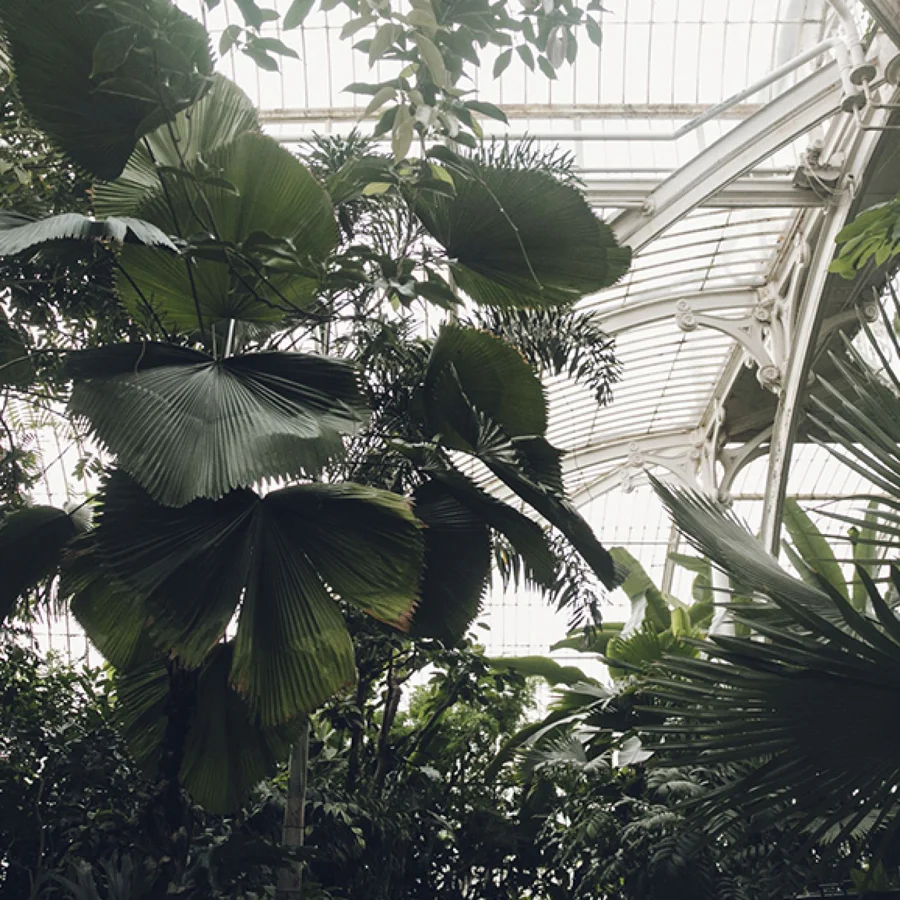 haarkon-green-gallery-02