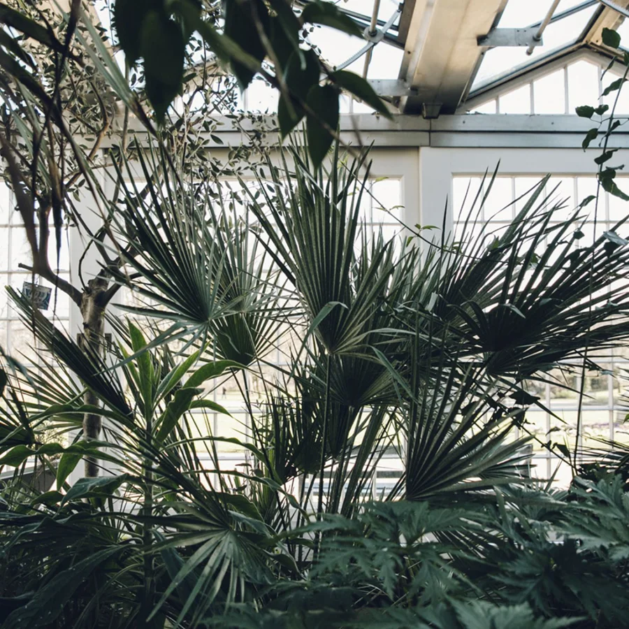 haarkon-green-gallery-04