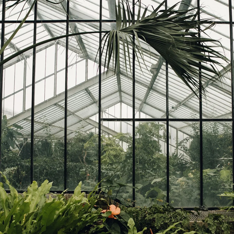 haarkon-green-gallery-05