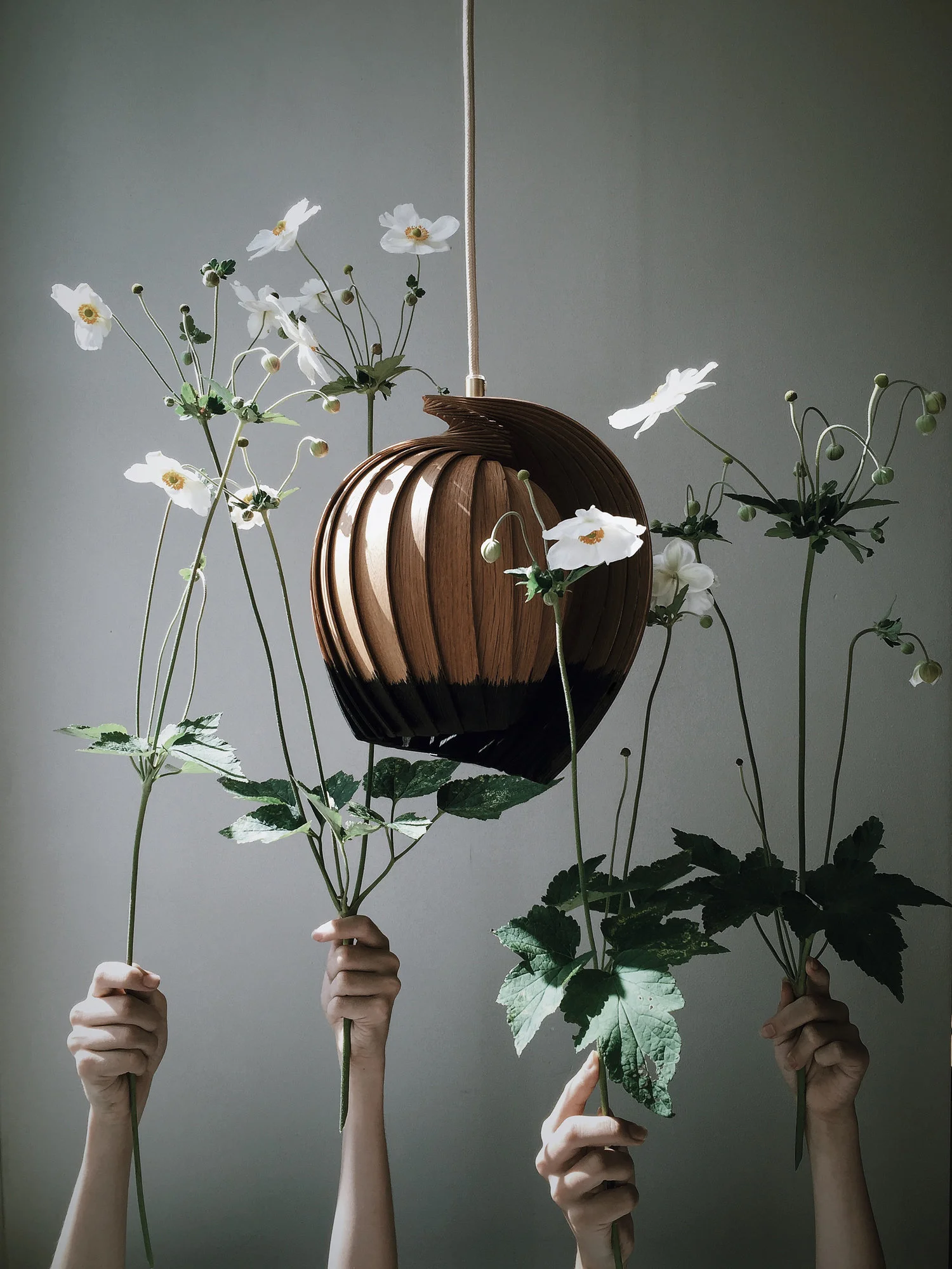 Kovac-April and May-04.jpeg
