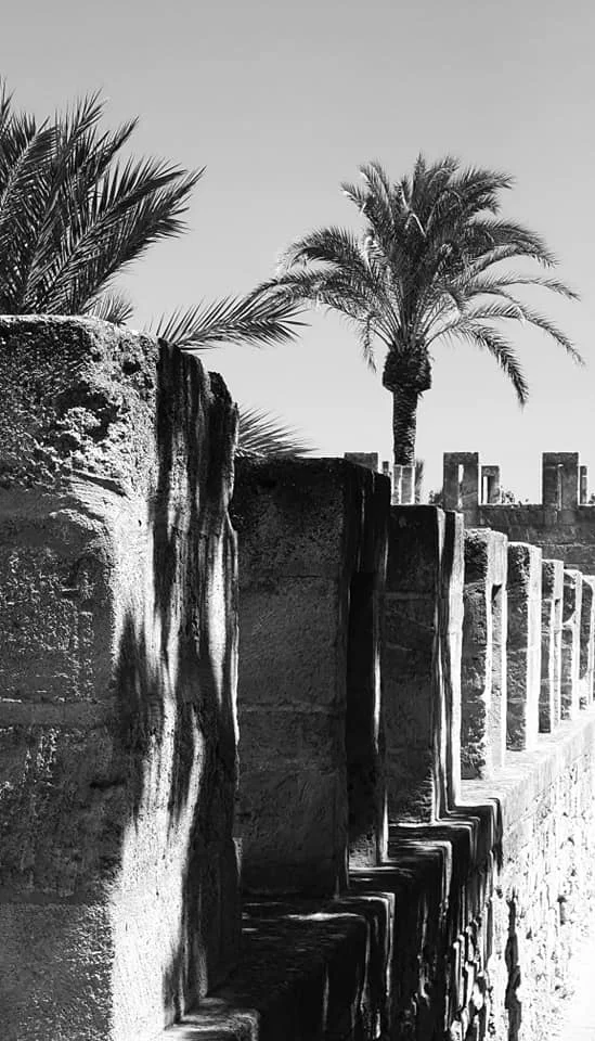 elverainmallorca-aprilandmay