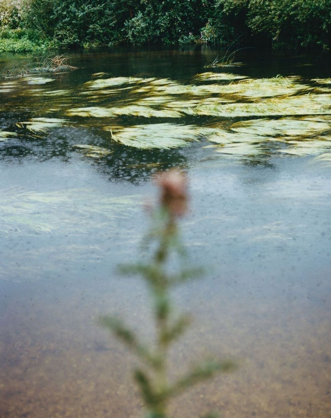 cosaw2019-aprilandmay