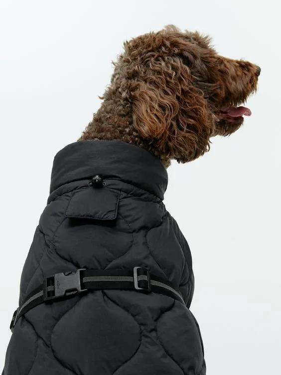 The search to beautiful stories