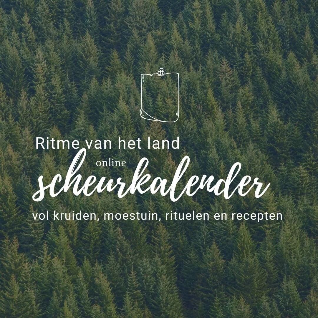 Ritme van het Leven - online scheurkalender