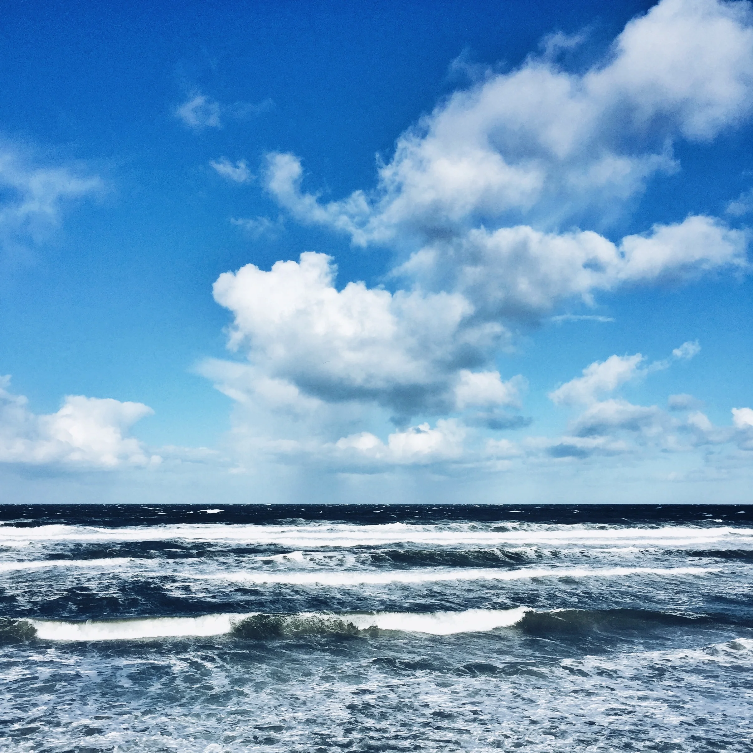 5A60F08E-62D3-41BE-B90E-3D6EC02CD796.JPG