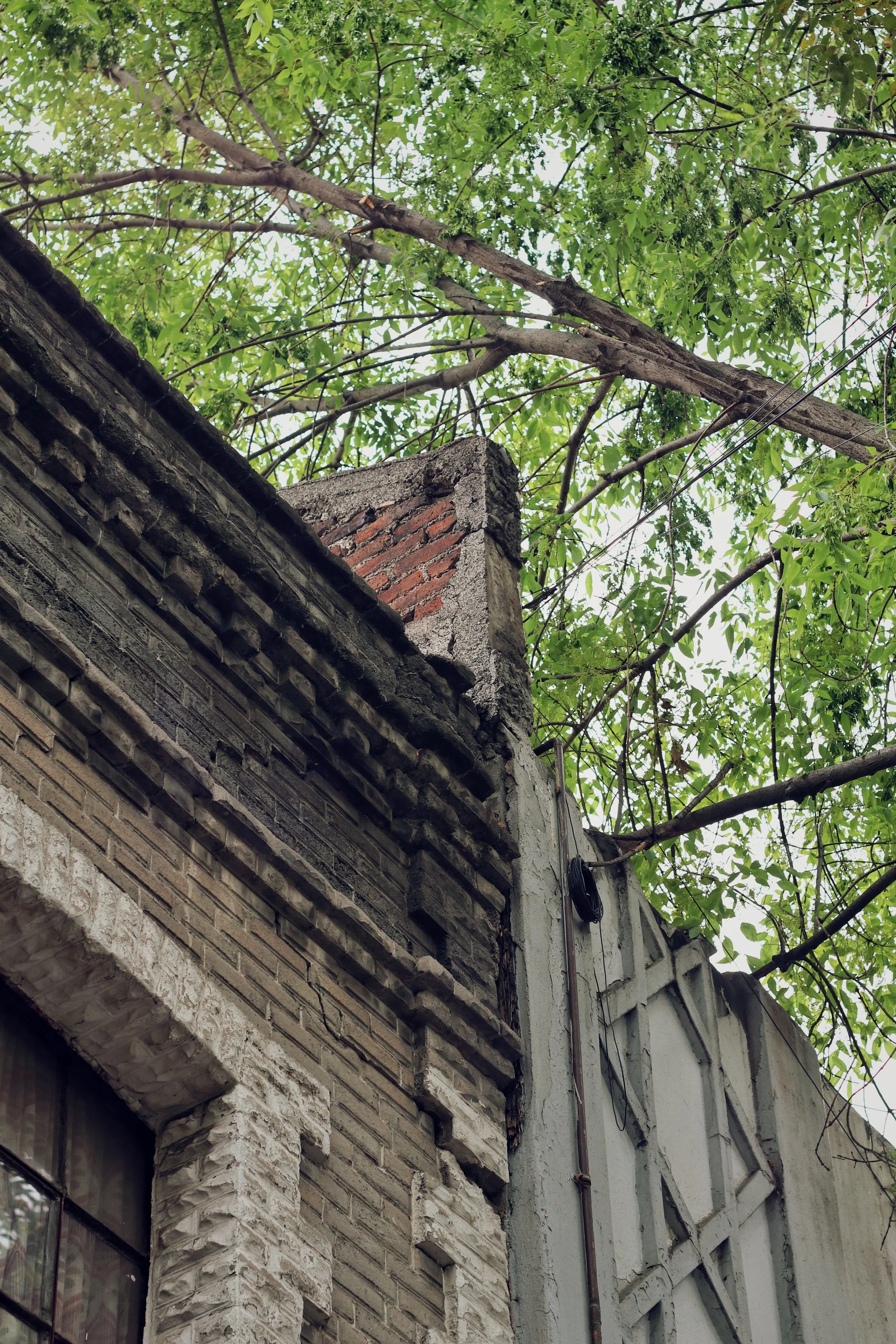 FullSizeRender_VSCO 13.JPG